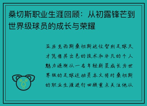 桑切斯职业生涯回顾：从初露锋芒到世界级球员的成长与荣耀
