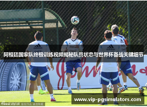 阿根廷国家队终极训练视频揭秘队员状态与世界杯备战关键细节
