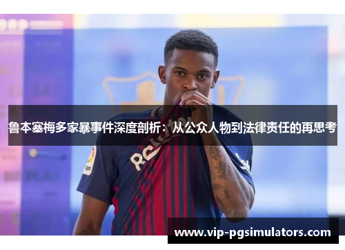 鲁本塞梅多家暴事件深度剖析：从公众人物到法律责任的再思考